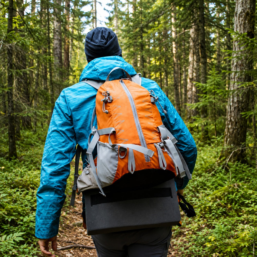 A person hiking in a dense forest seen from behind, wearing a bright blue jacket, dark beanie, and carrying a large orange and gray backpack with a dark gray hardshell case attached.