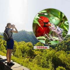 10x42 HD Military Hunting Binoculars