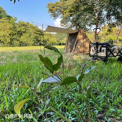 Lightweight Waterproof Portable Two-Person Shelter Tent